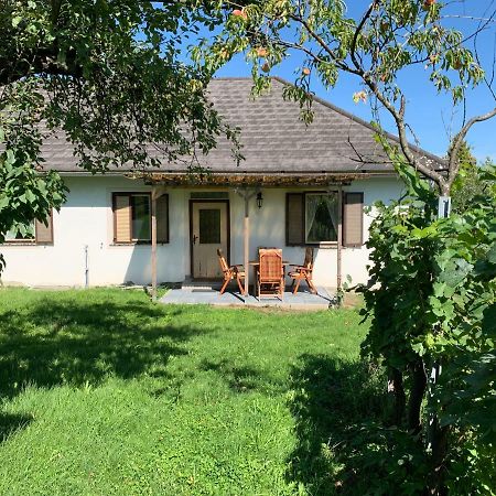 Urlaub Im Weingarten Winten  Eksteriør billede