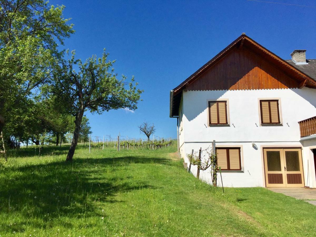 Urlaub Im Weingarten Winten  Eksteriør billede
