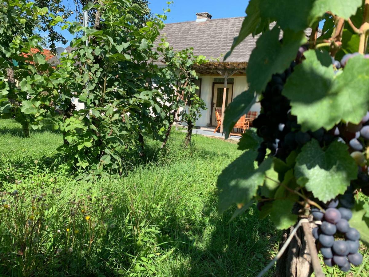 Urlaub Im Weingarten Winten  Eksteriør billede